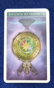 20230716_102357 (002).jpg