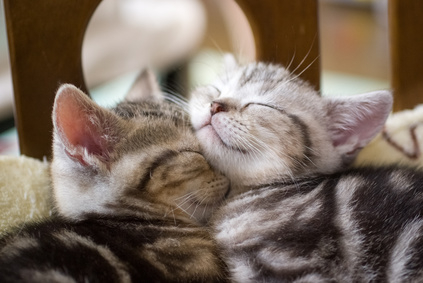 stockfoto_100475516_XS.jpg