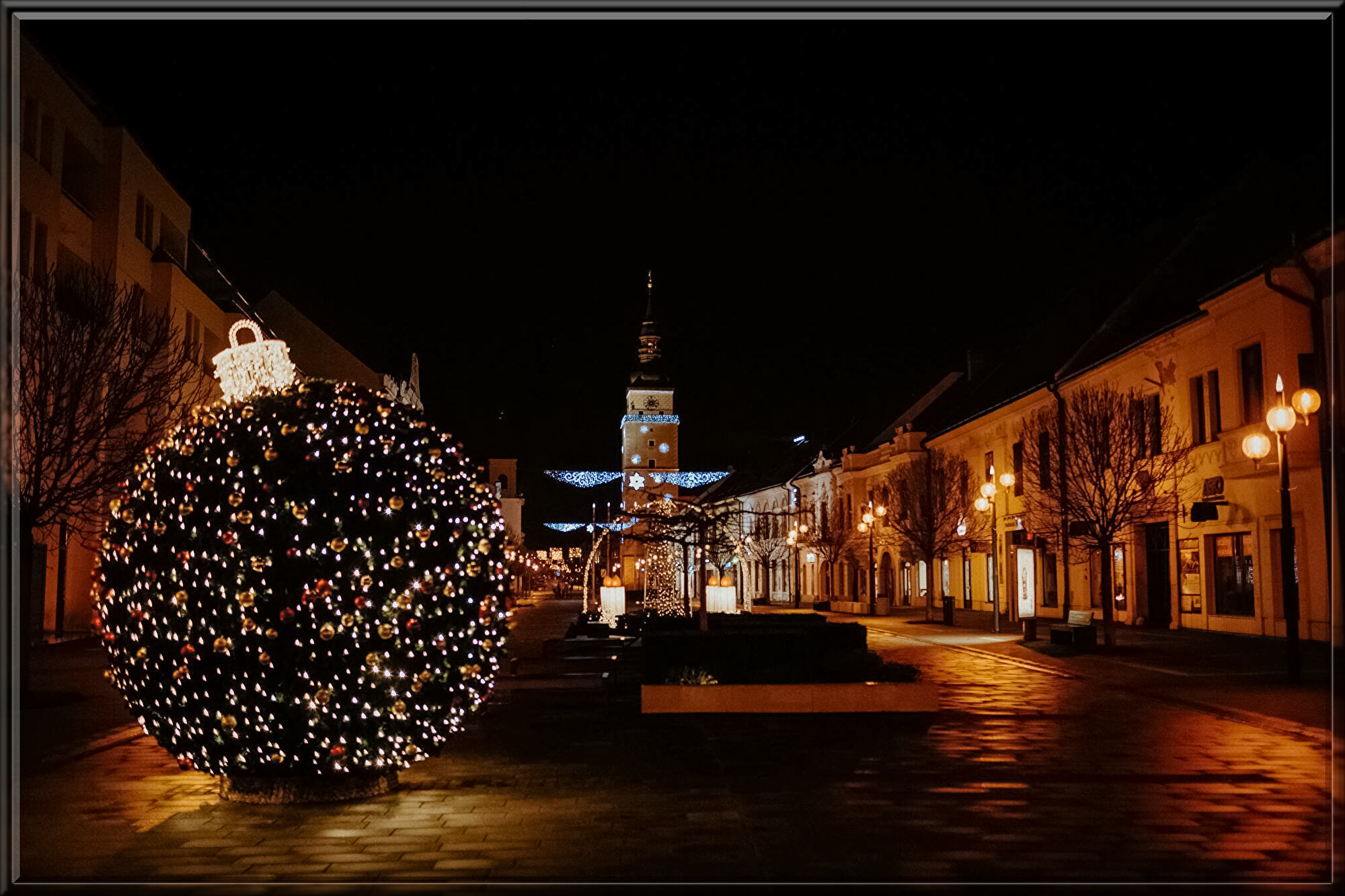 trnava-university-tWMsJzO3ih4-unsplash.jpg
