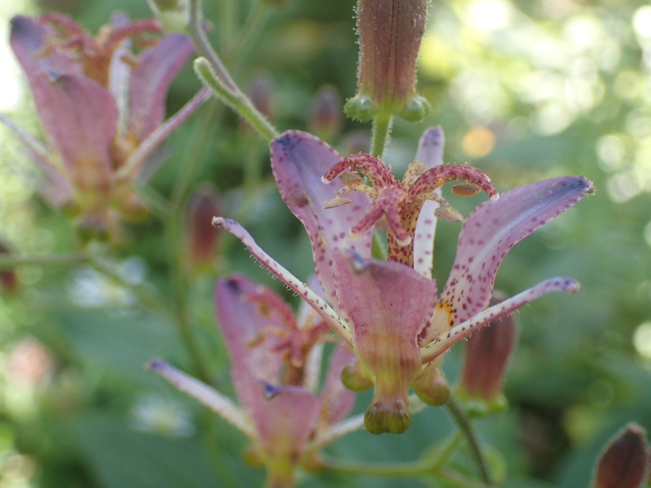 PA120658.JPG