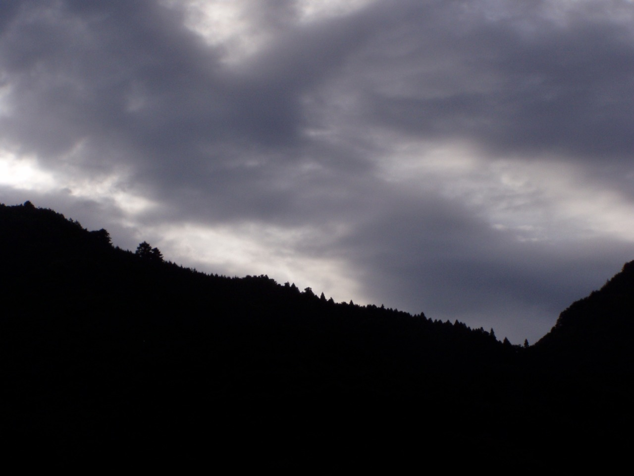 P1010003.JPG