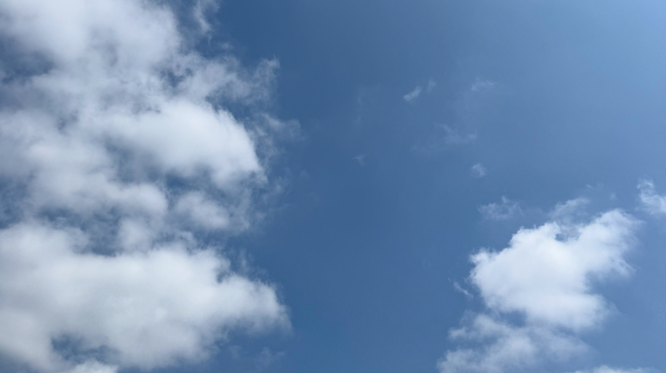 最新の写真を表示 22.png