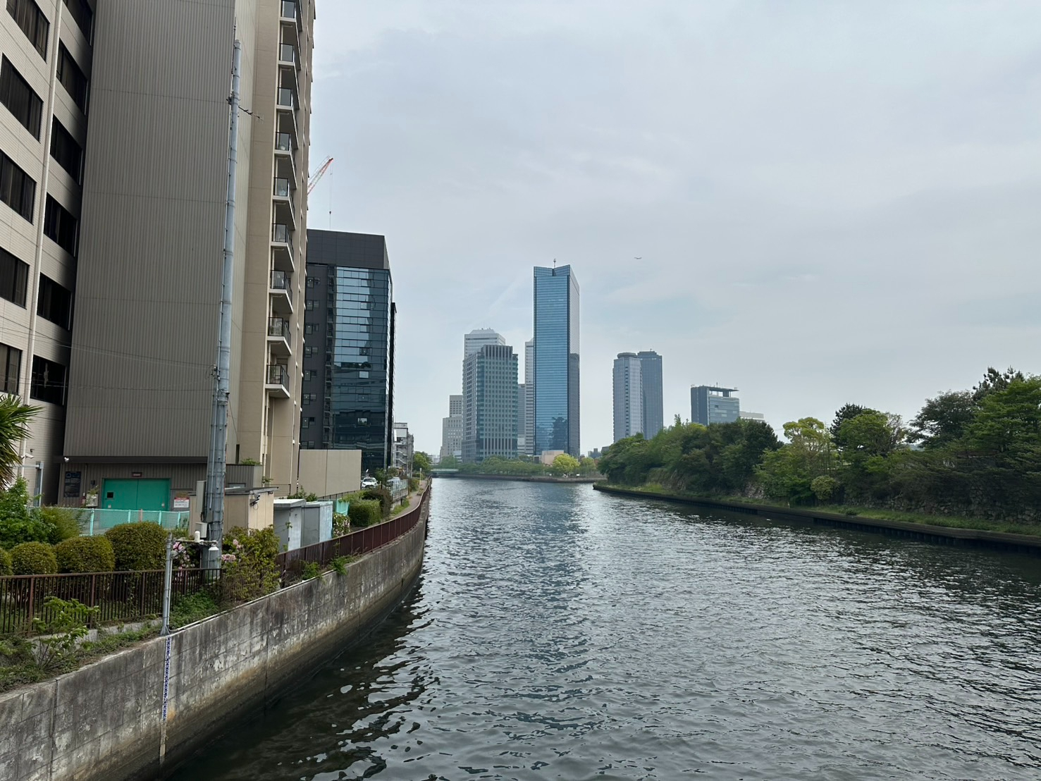 S__59916290.jpg