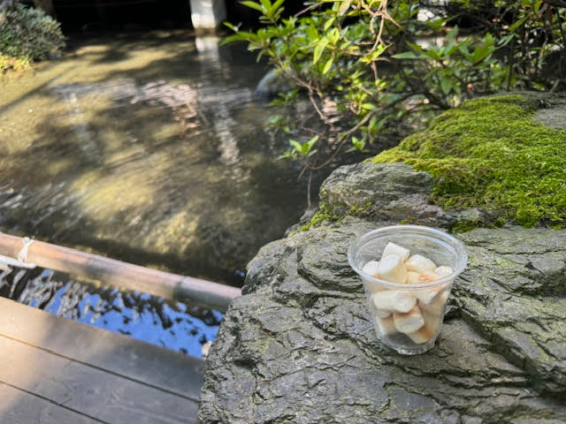 鯉の餌.jpg