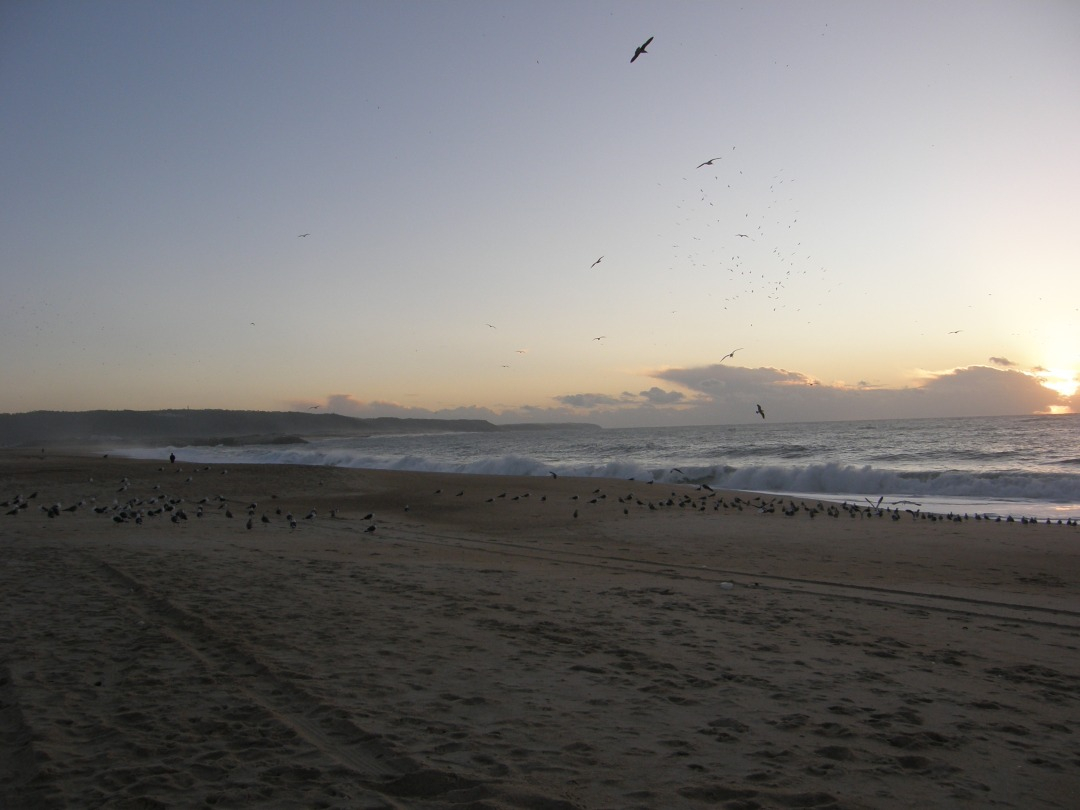 P1261458.JPG