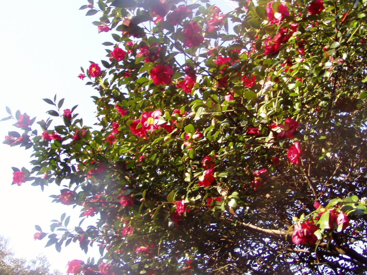 P1010088.JPG