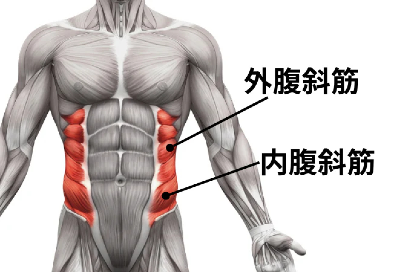 スクリーンショット 2025-04-24 15.22.54.png