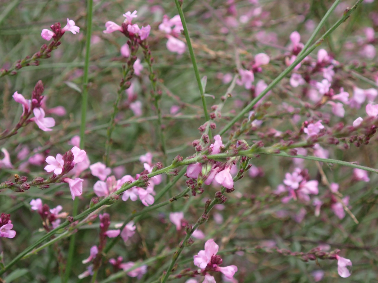 PA120208.JPG