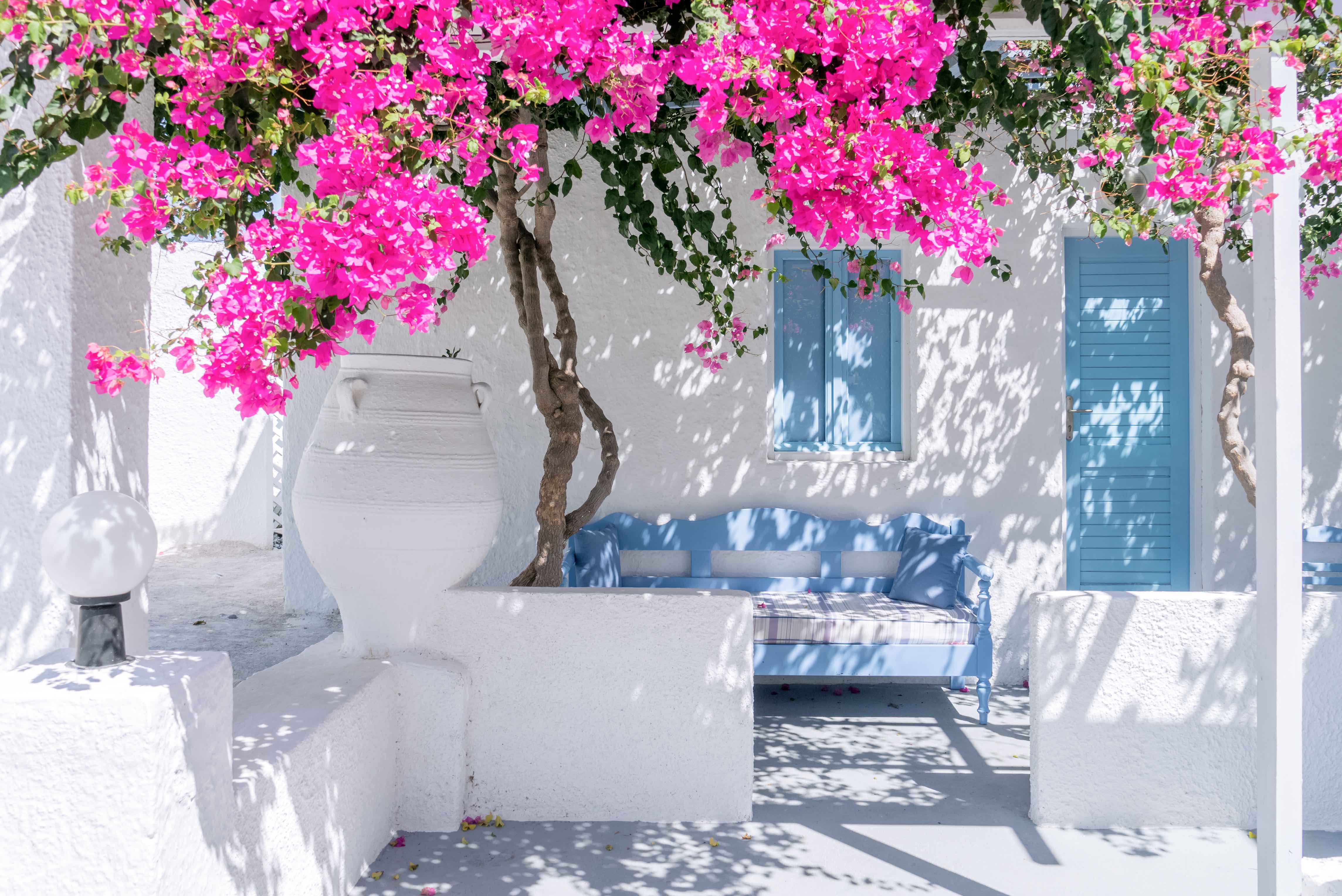 AdobeStock_83039674.jpeg