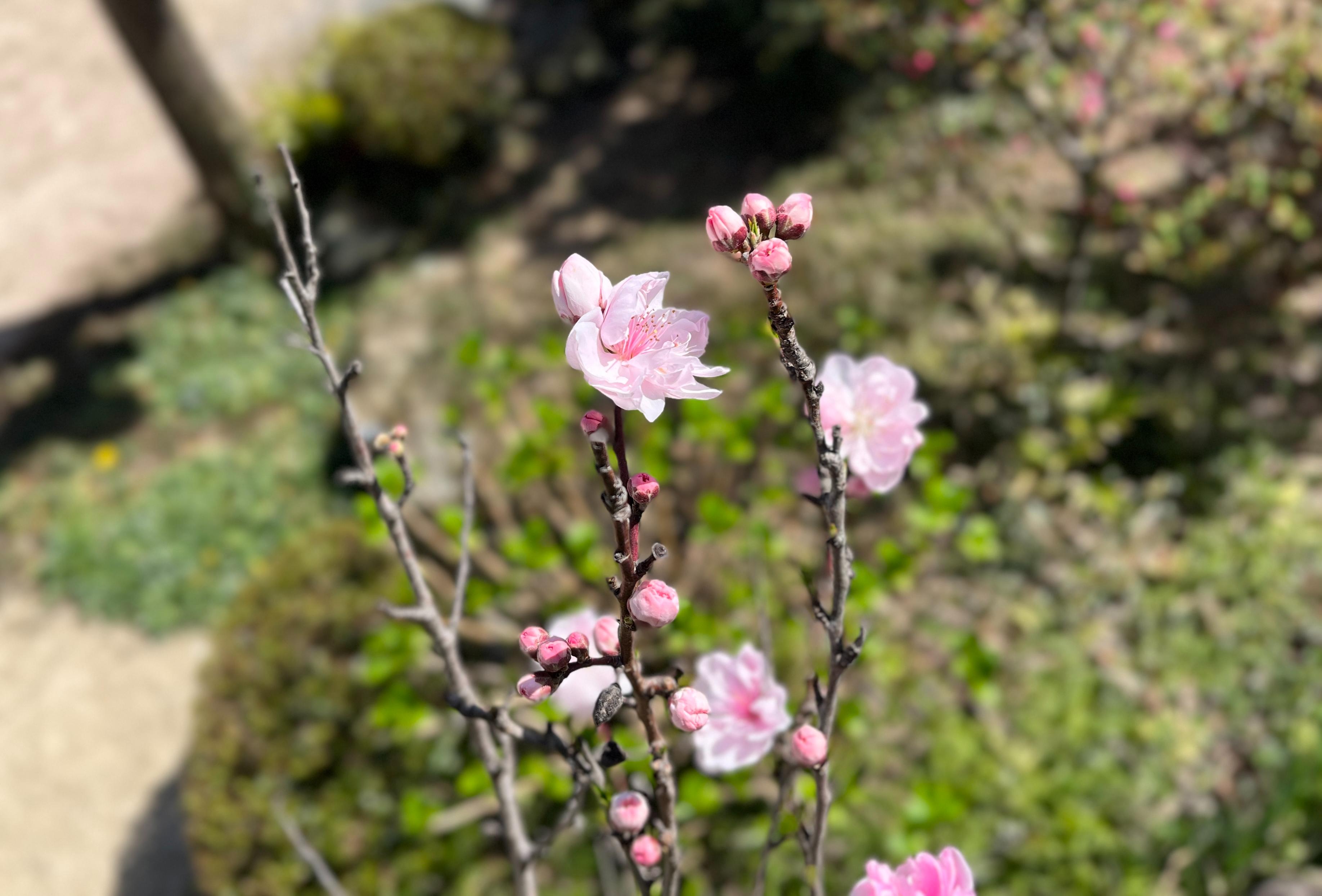 画像①.jpg