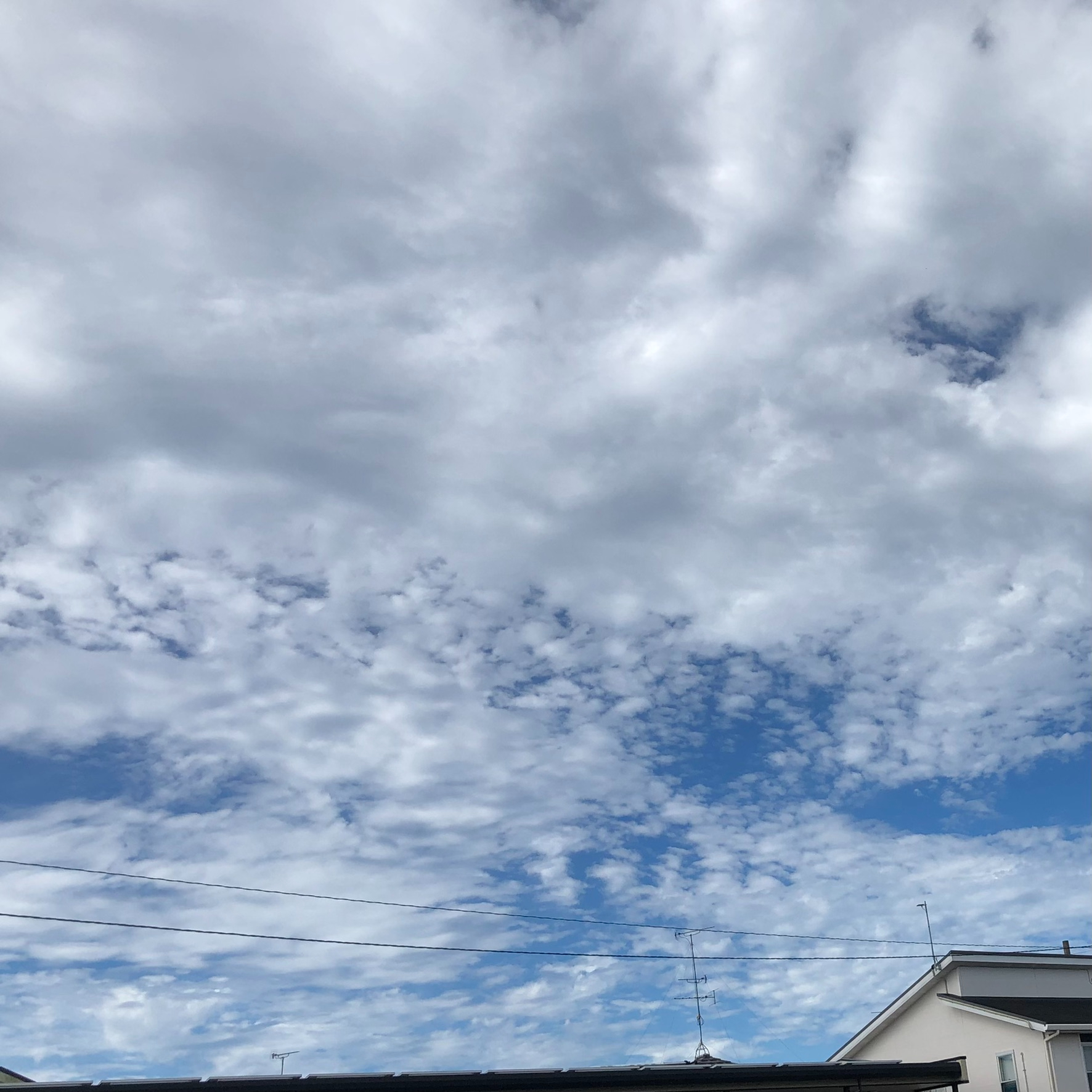 IMG_0853.JPEG
