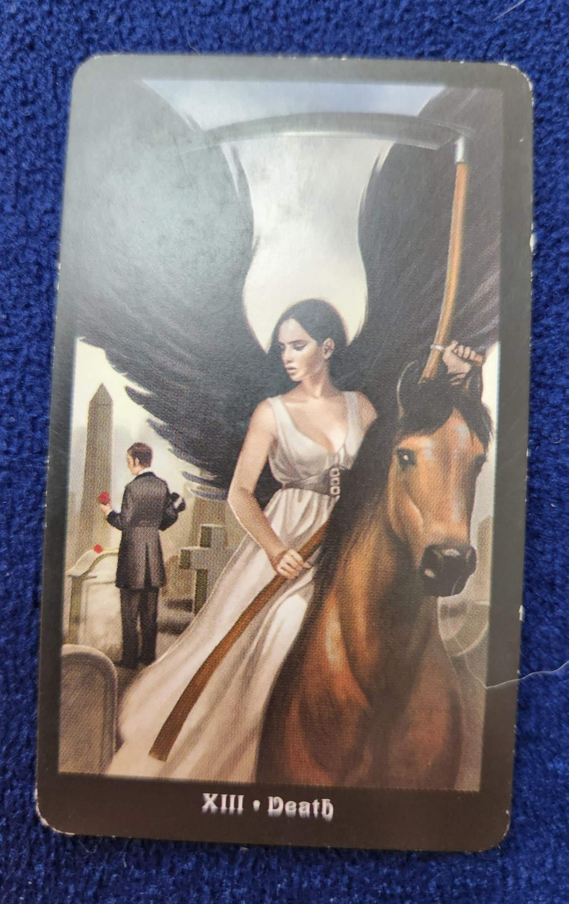 20231116_092843 (002).jpg