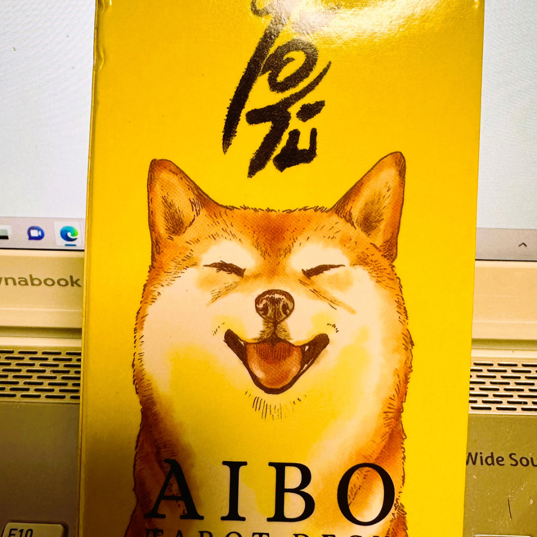 20240313_024656083_iOS.png