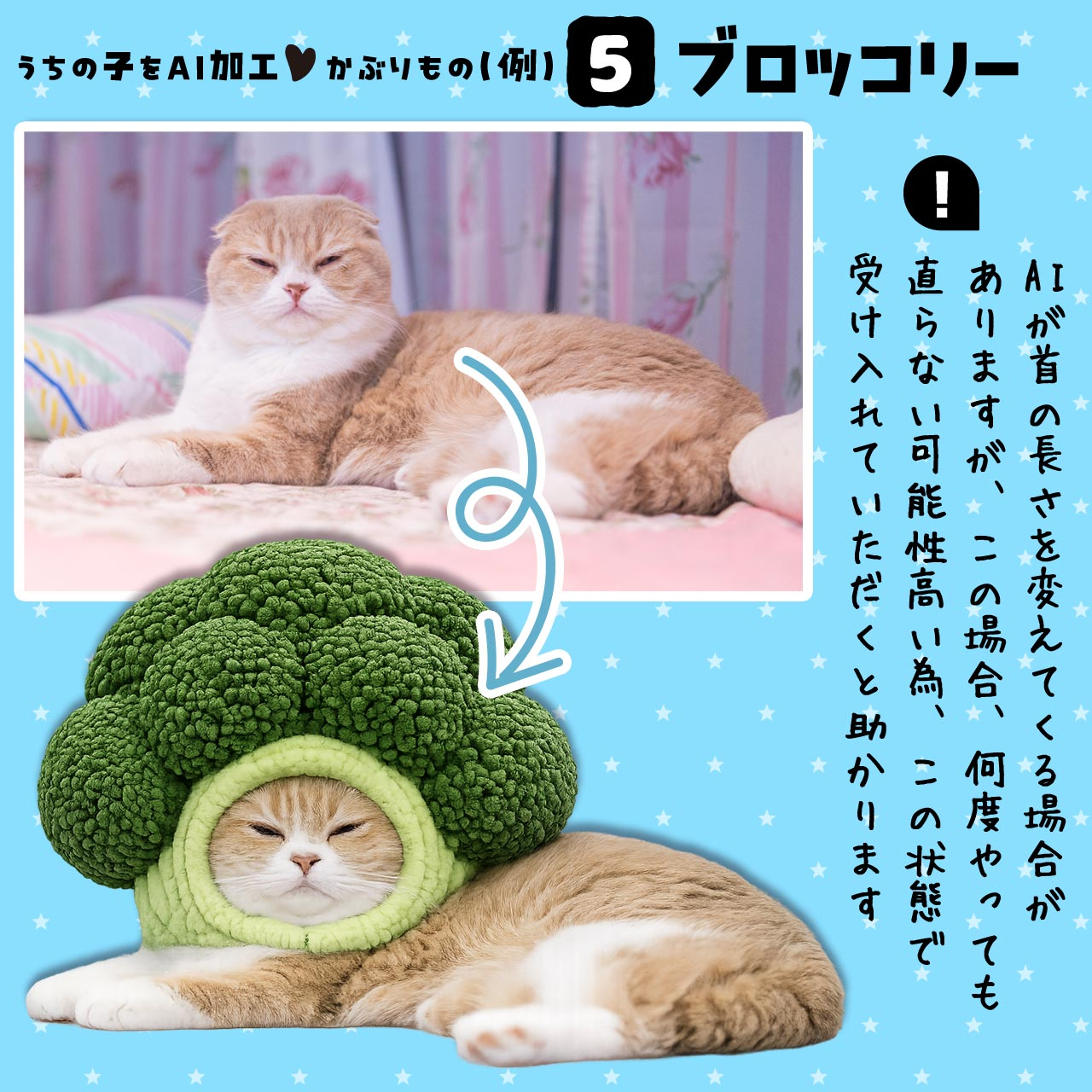 AI_B5_broccoli2.jpg
