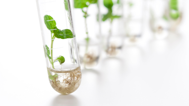 ココナラ／心が折れる (9).png