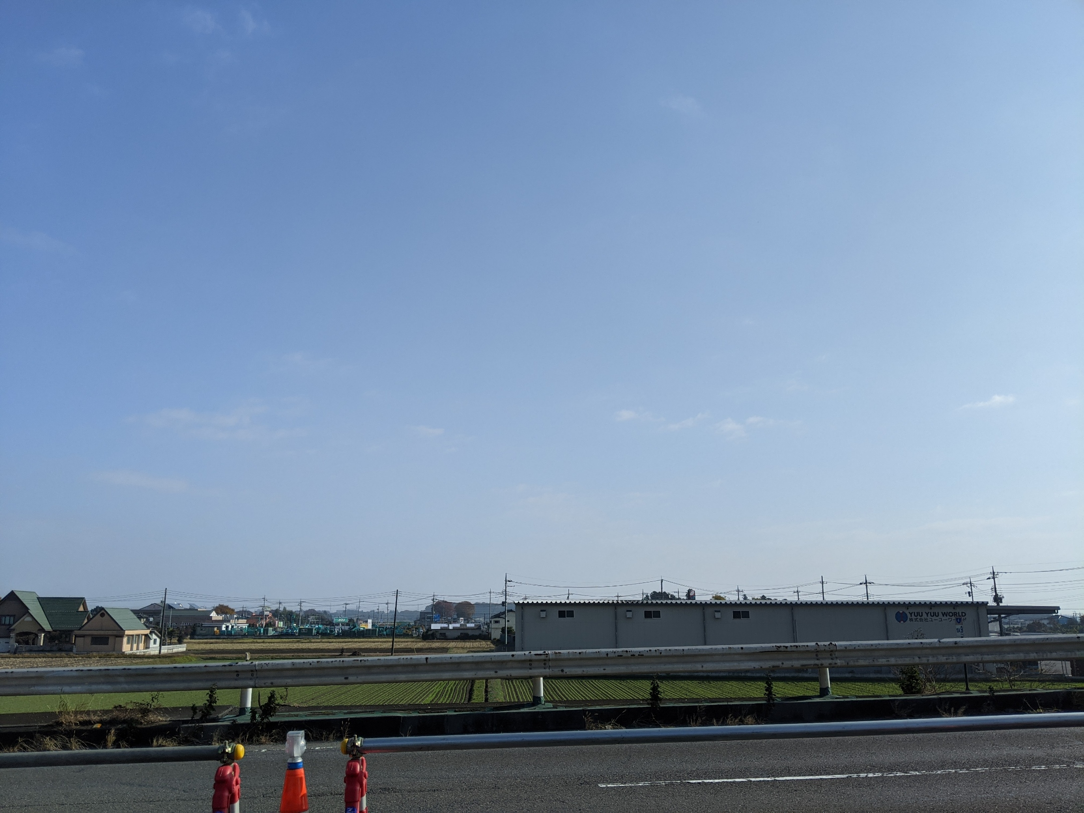 PXL_20201118_013553799.jpg