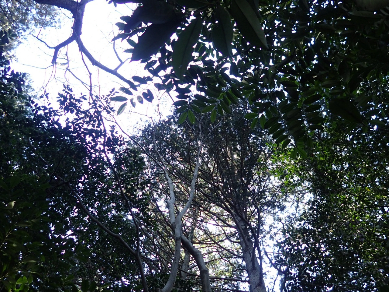 PC310070.JPG