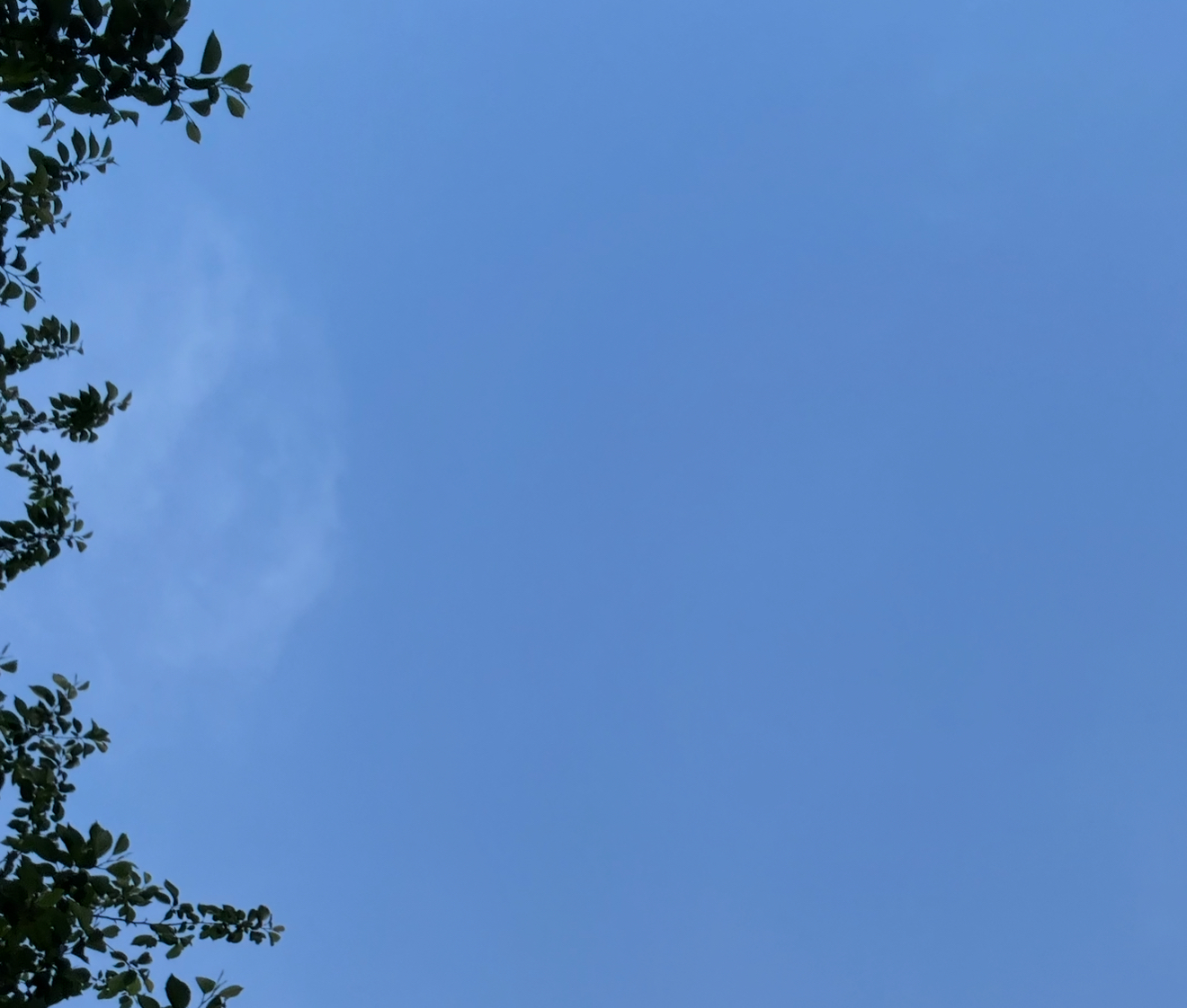 最新の写真を表示 24.png