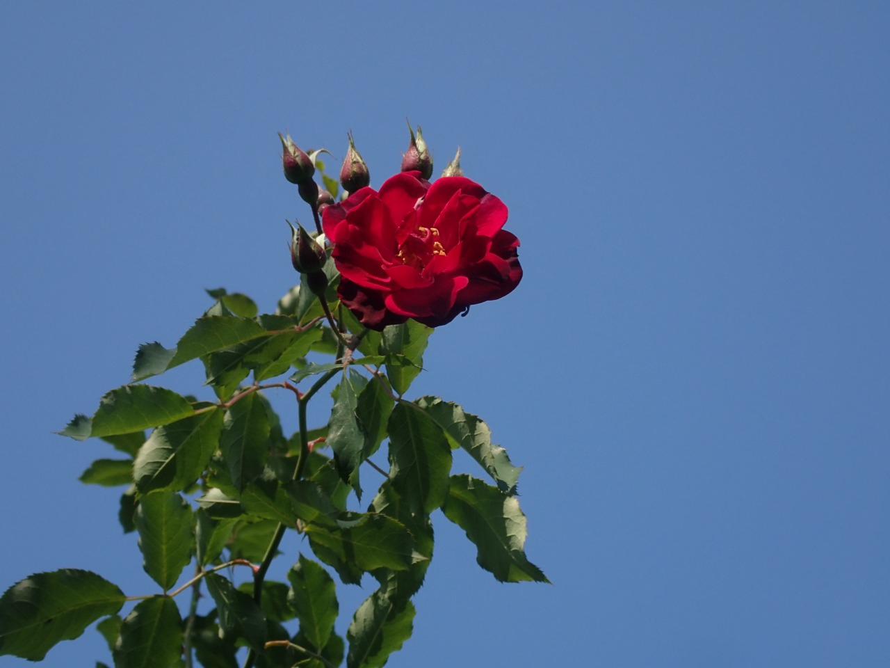 PB160003.JPG