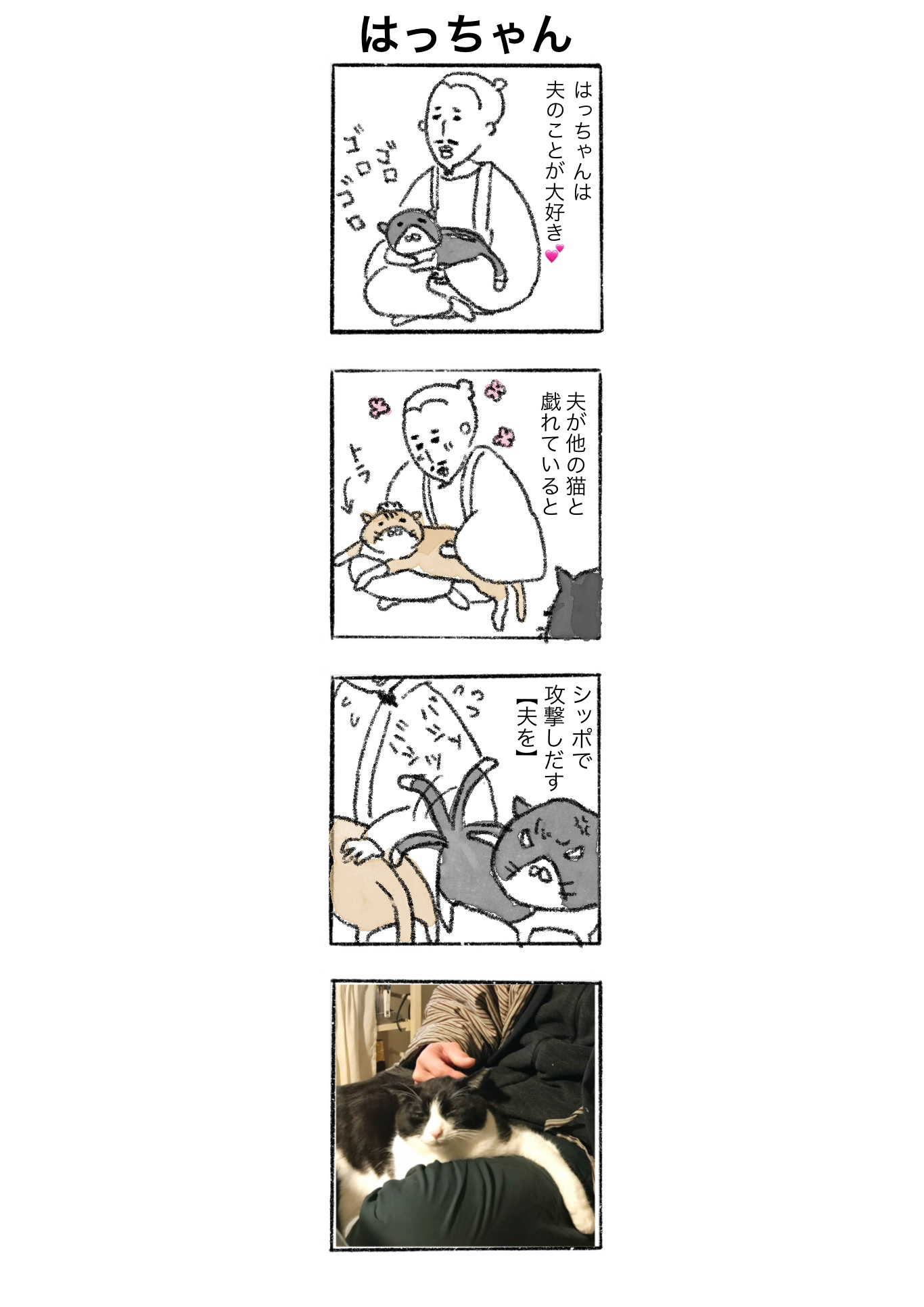 29274BC1-7EB4-4FAE-BDEF-F487CDC83807.jpeg