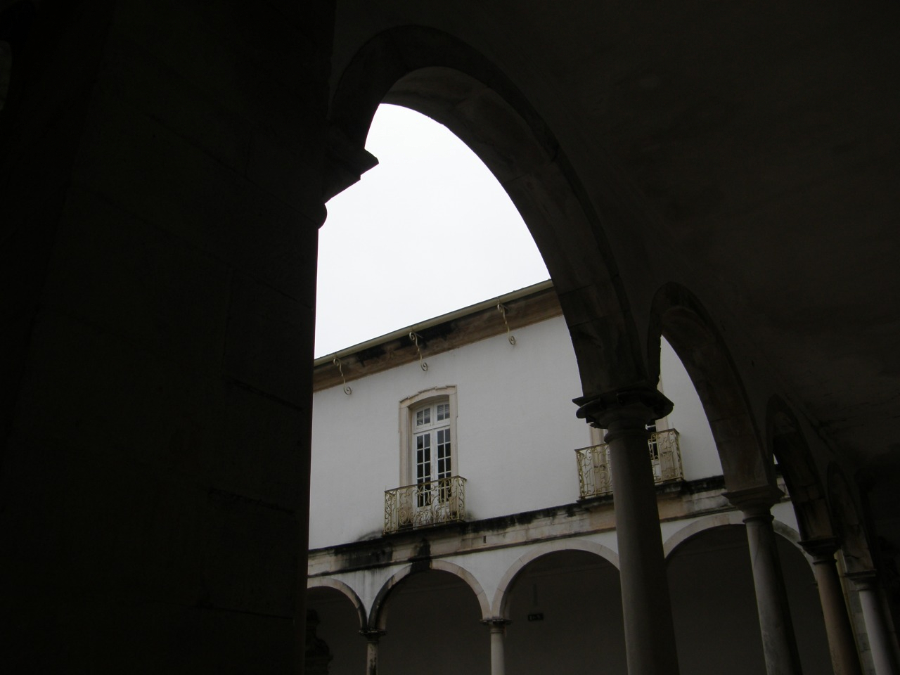 P1251163.JPG