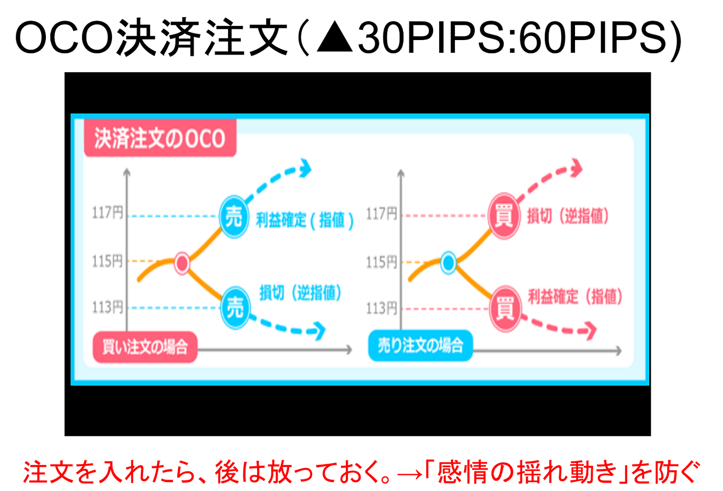 スクリーンショット (507).png