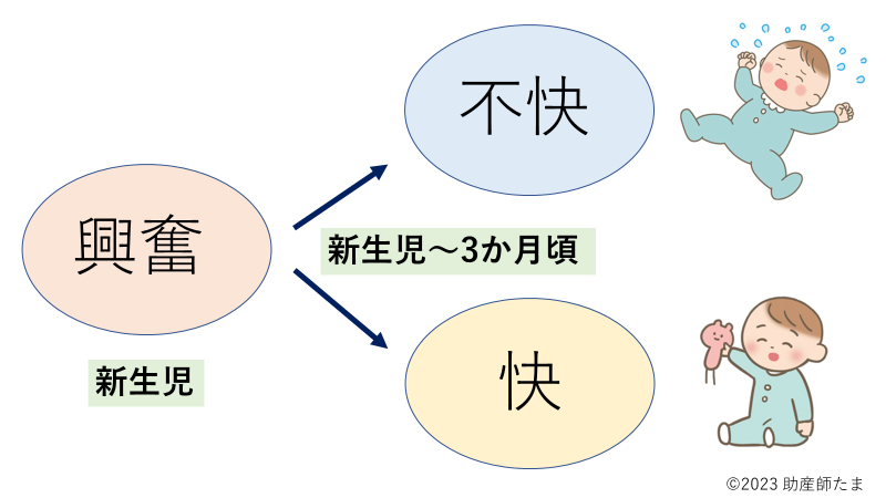 新生児感情の発達図解.png