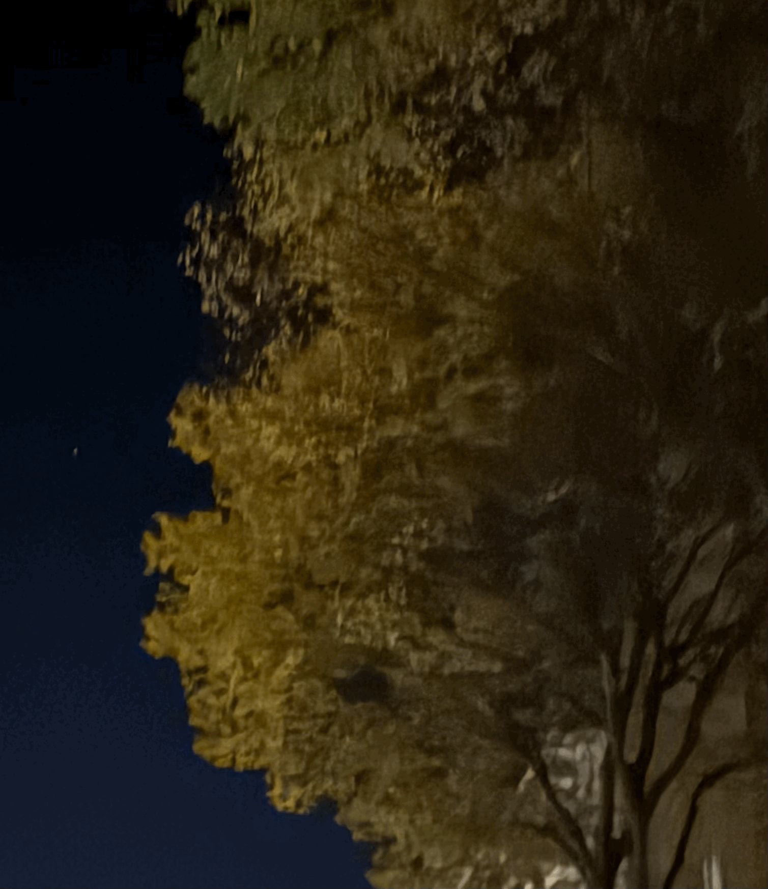 tempImageUrsocQ.gif