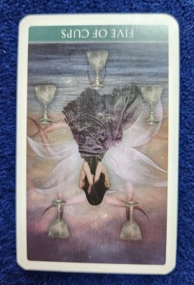 20230823_084733 (002).jpg