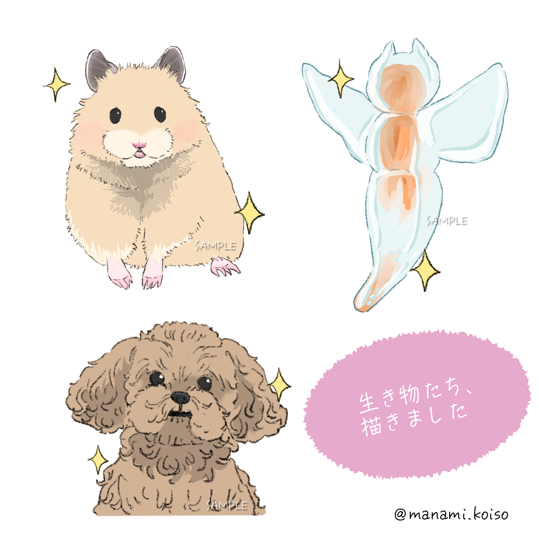 ペット_1.jpg