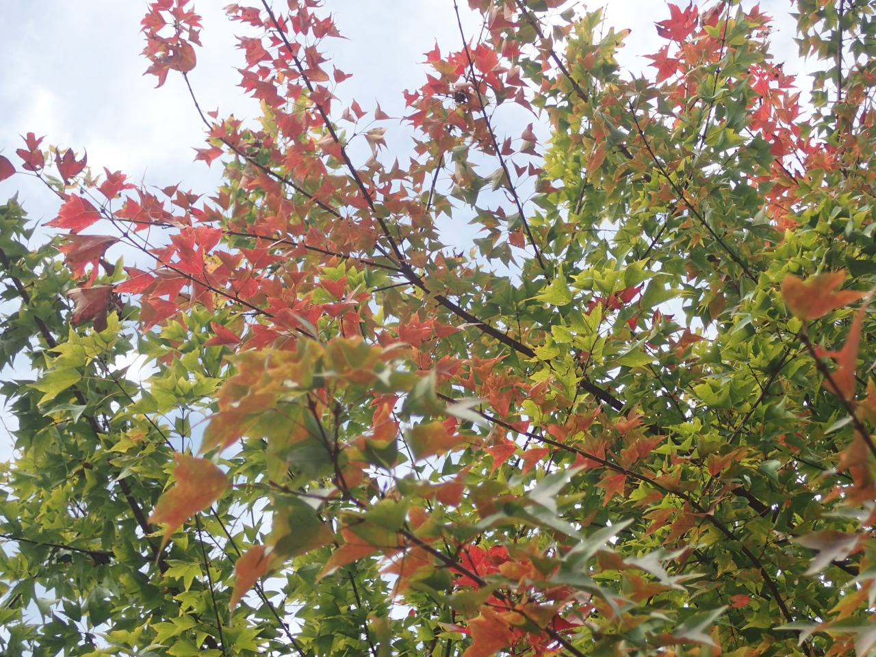 PA290330.JPG
