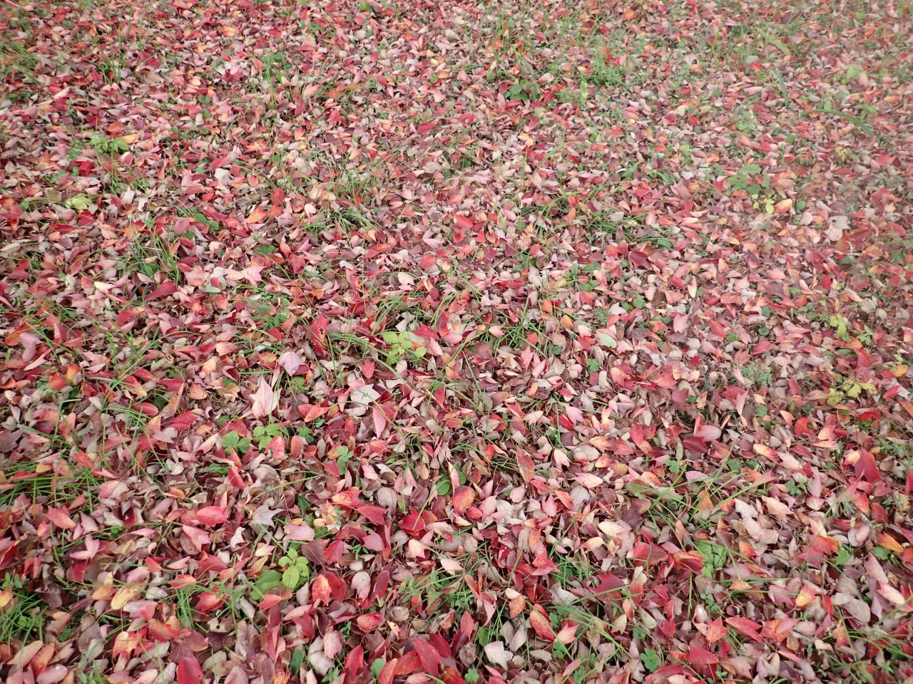 PB130189.JPG