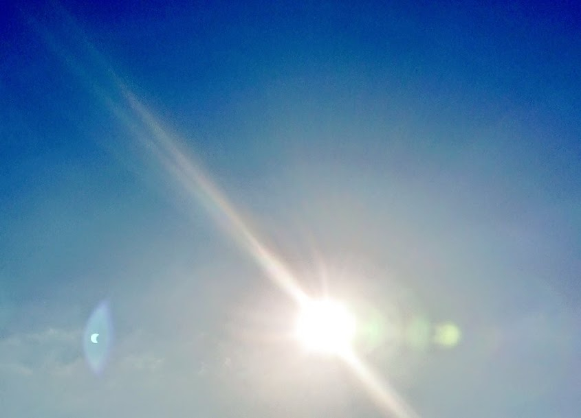 n0.jpg