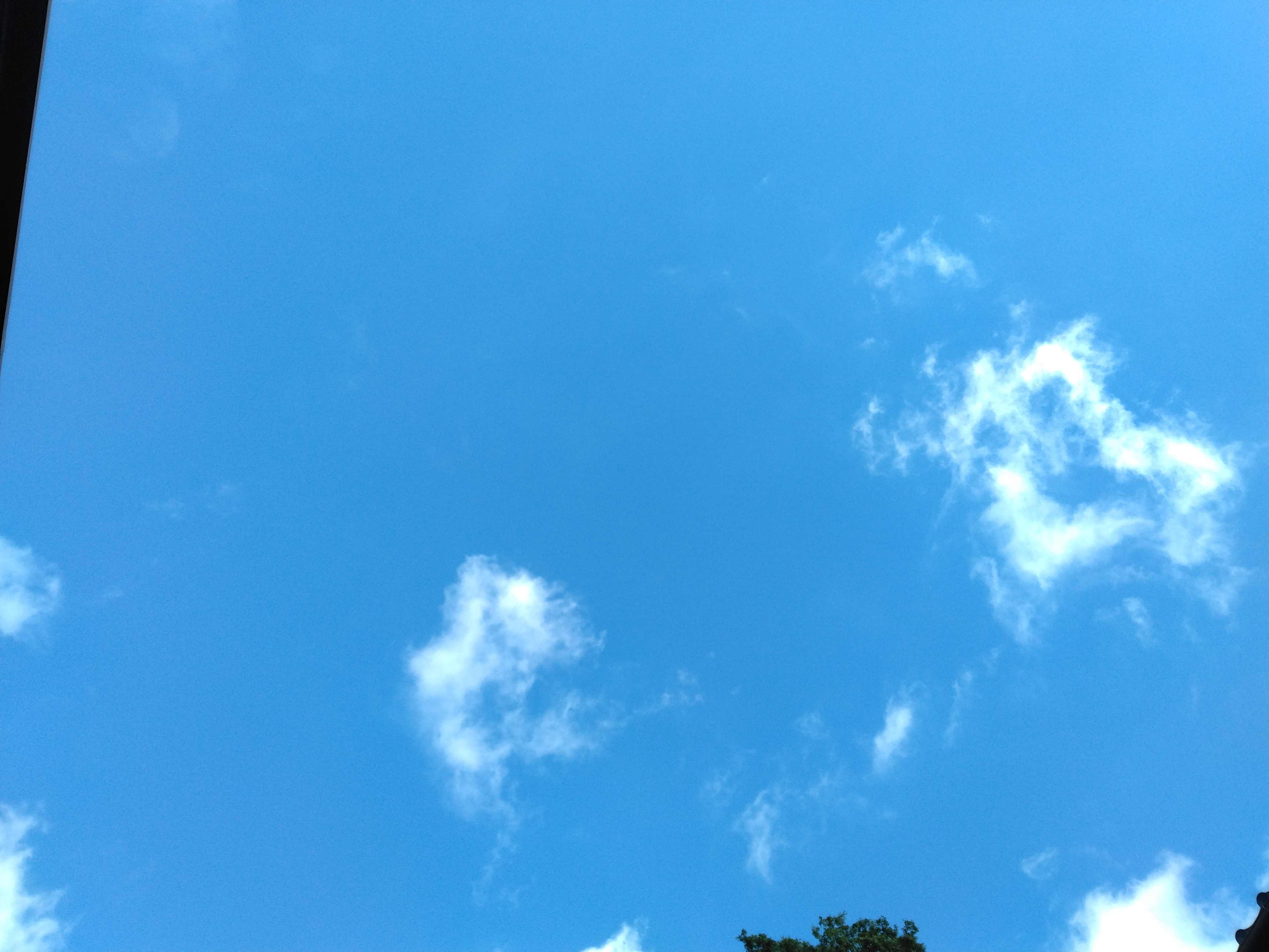 IMG_20260528_071506.jpg