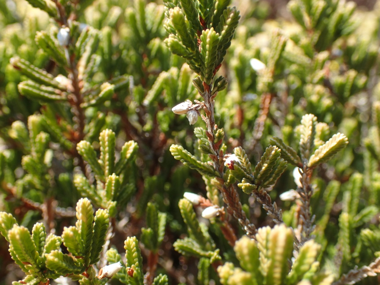 P3220790.JPG