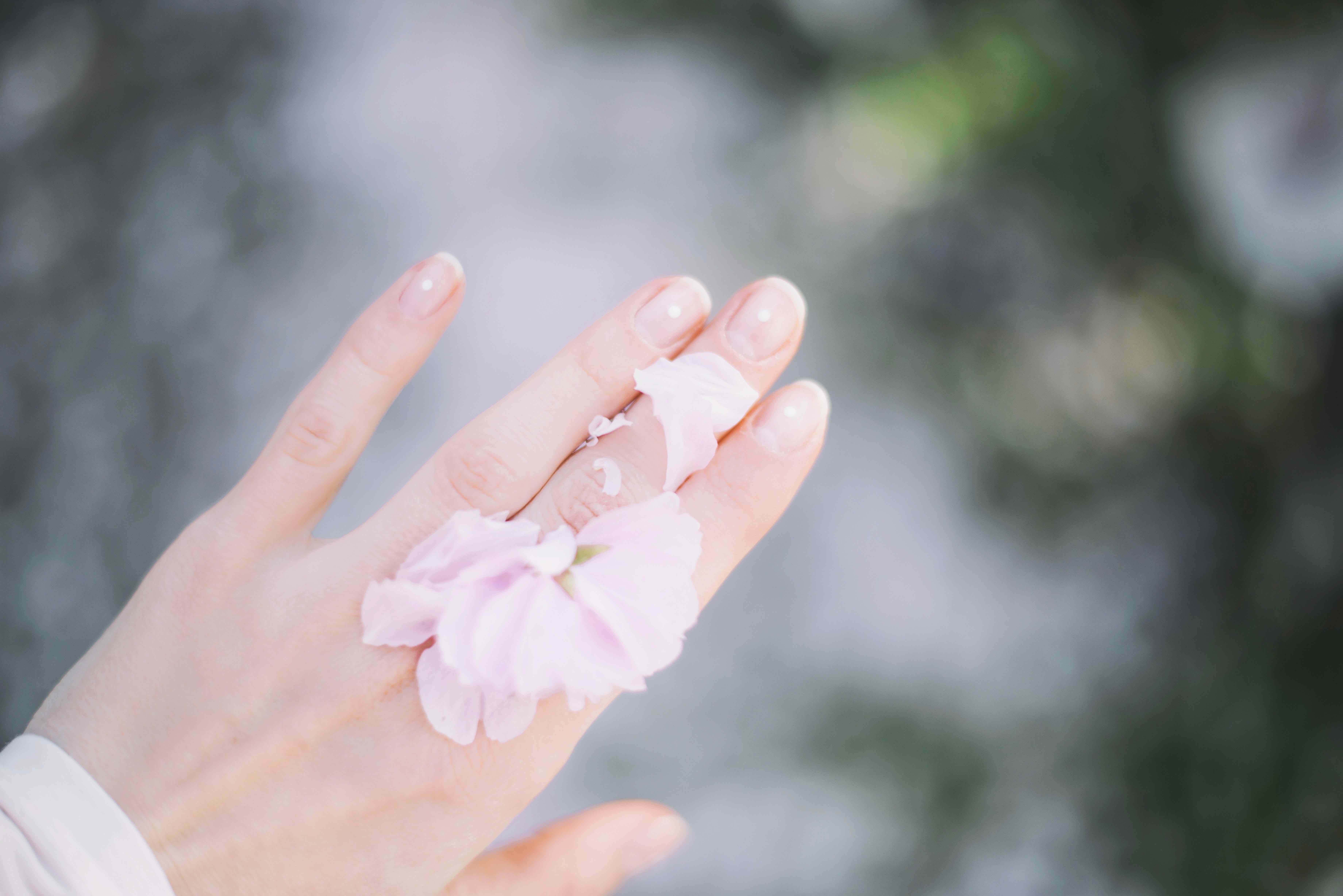 hands-flower.jpg