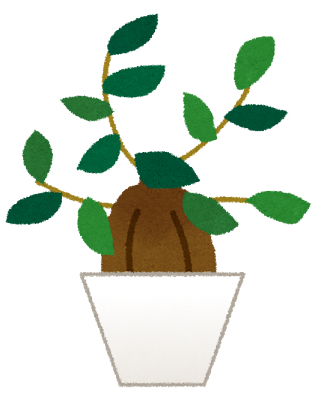 plant_gajumaru.png