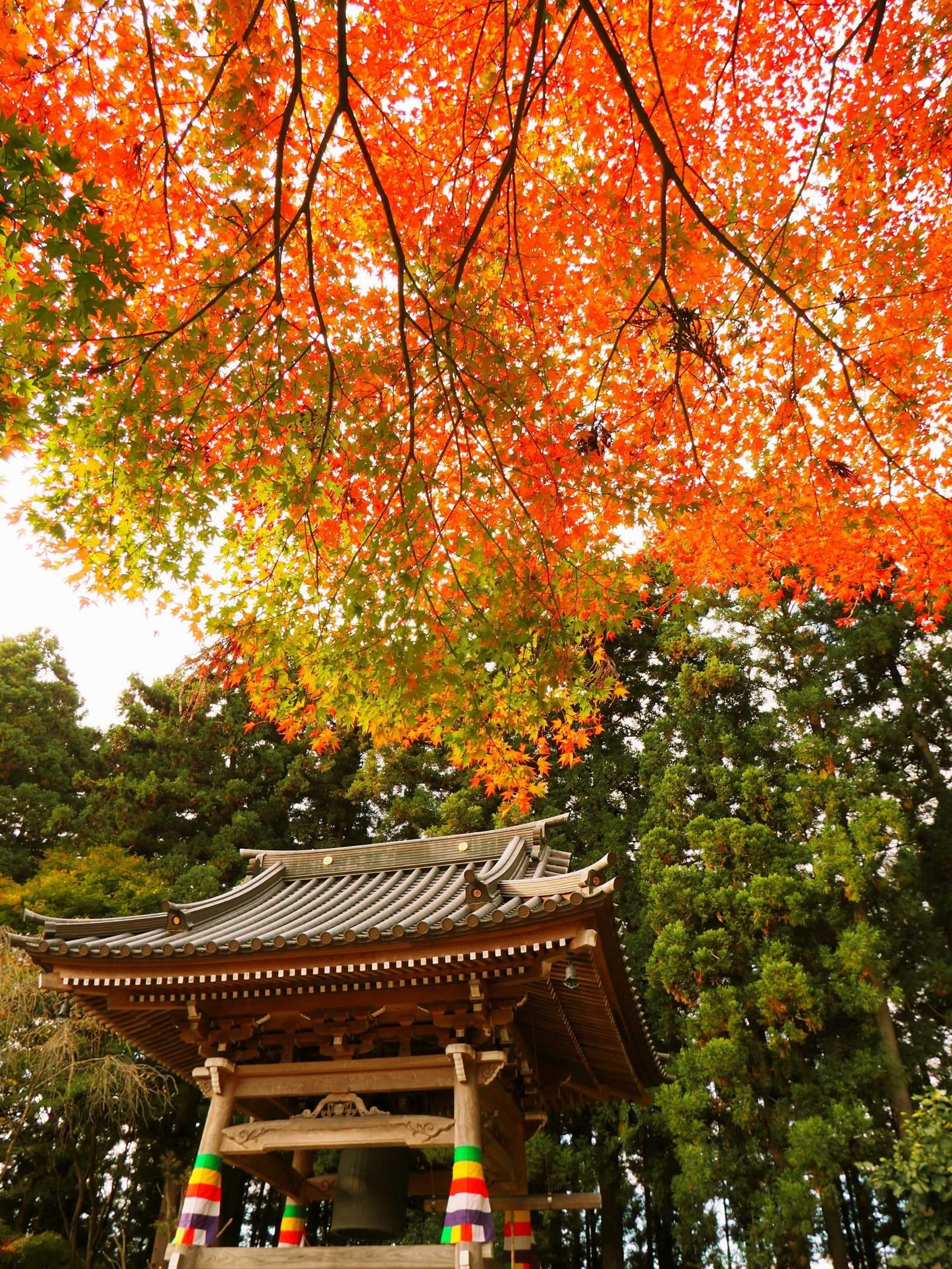 法蔵寺.jpg