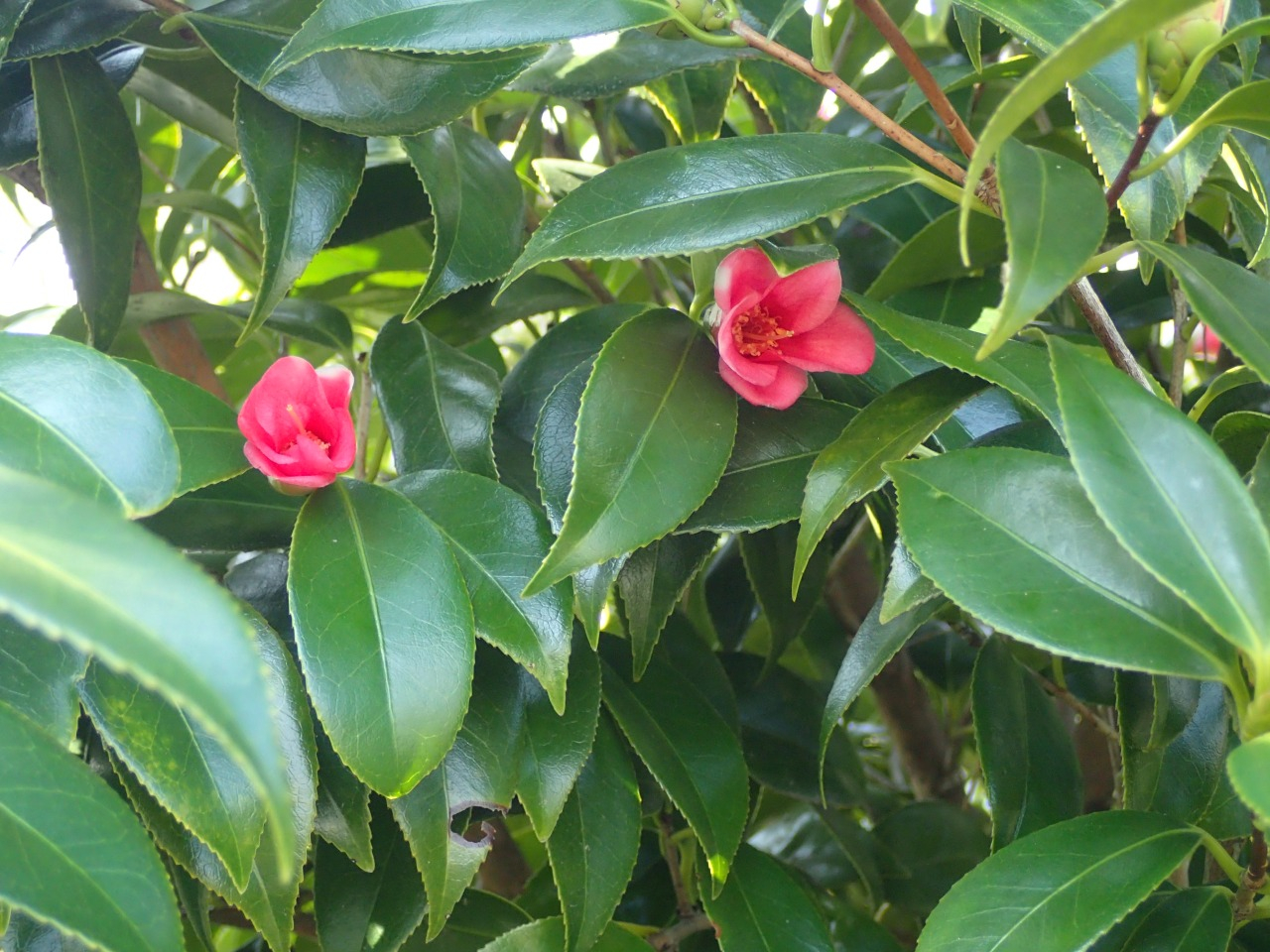 P3220114.JPG