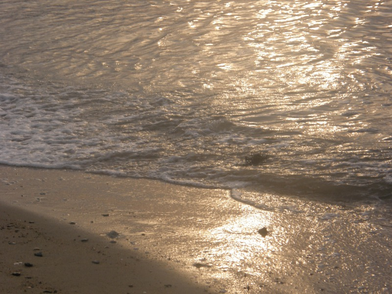 PA191075.JPG