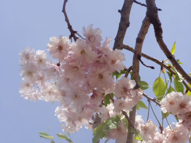 P1010241.JPG