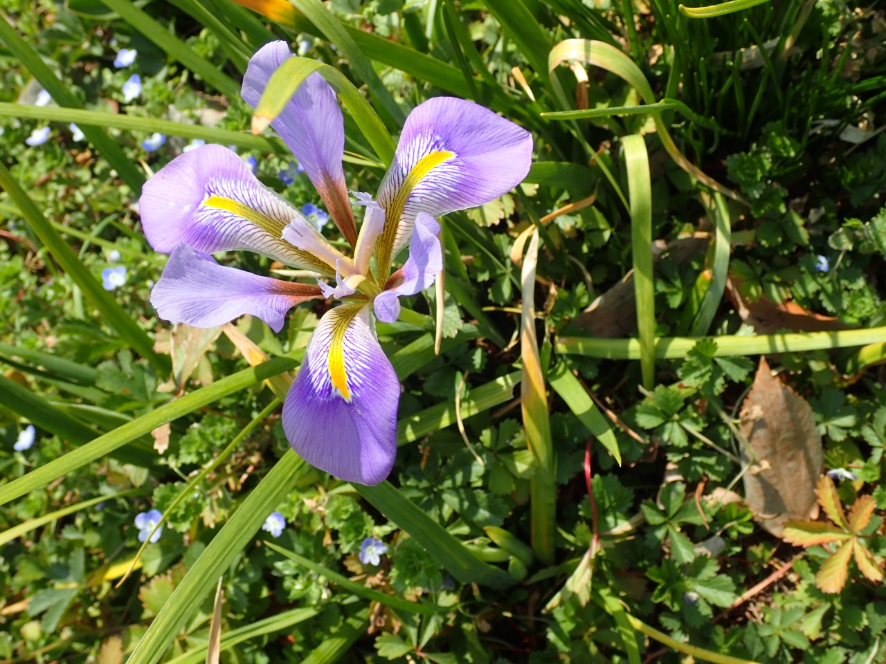 P3170531.JPG