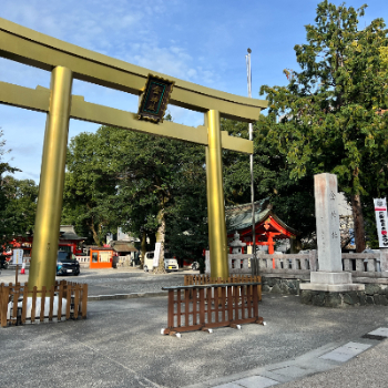 IMG_7645.png
