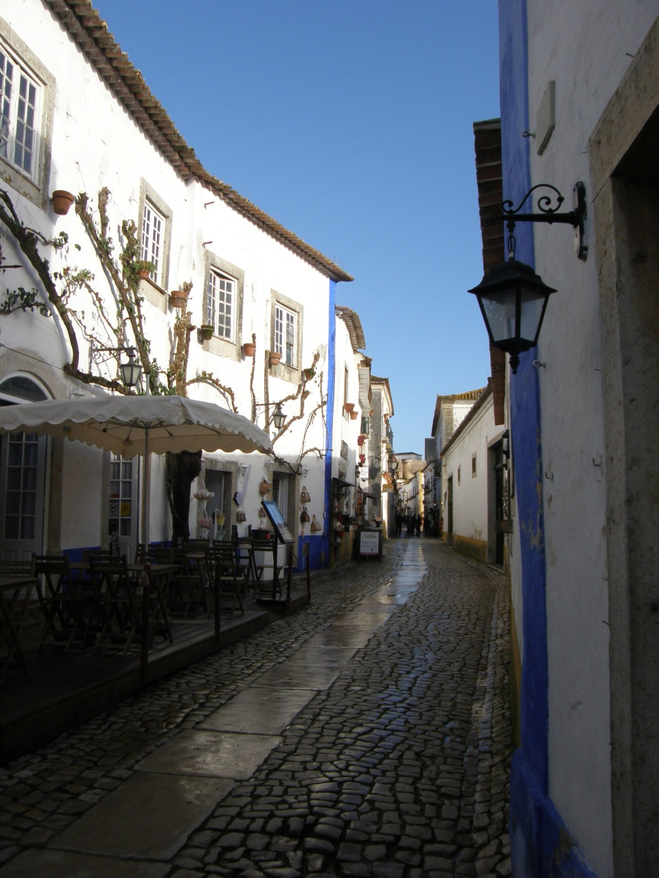 P1261511.JPG