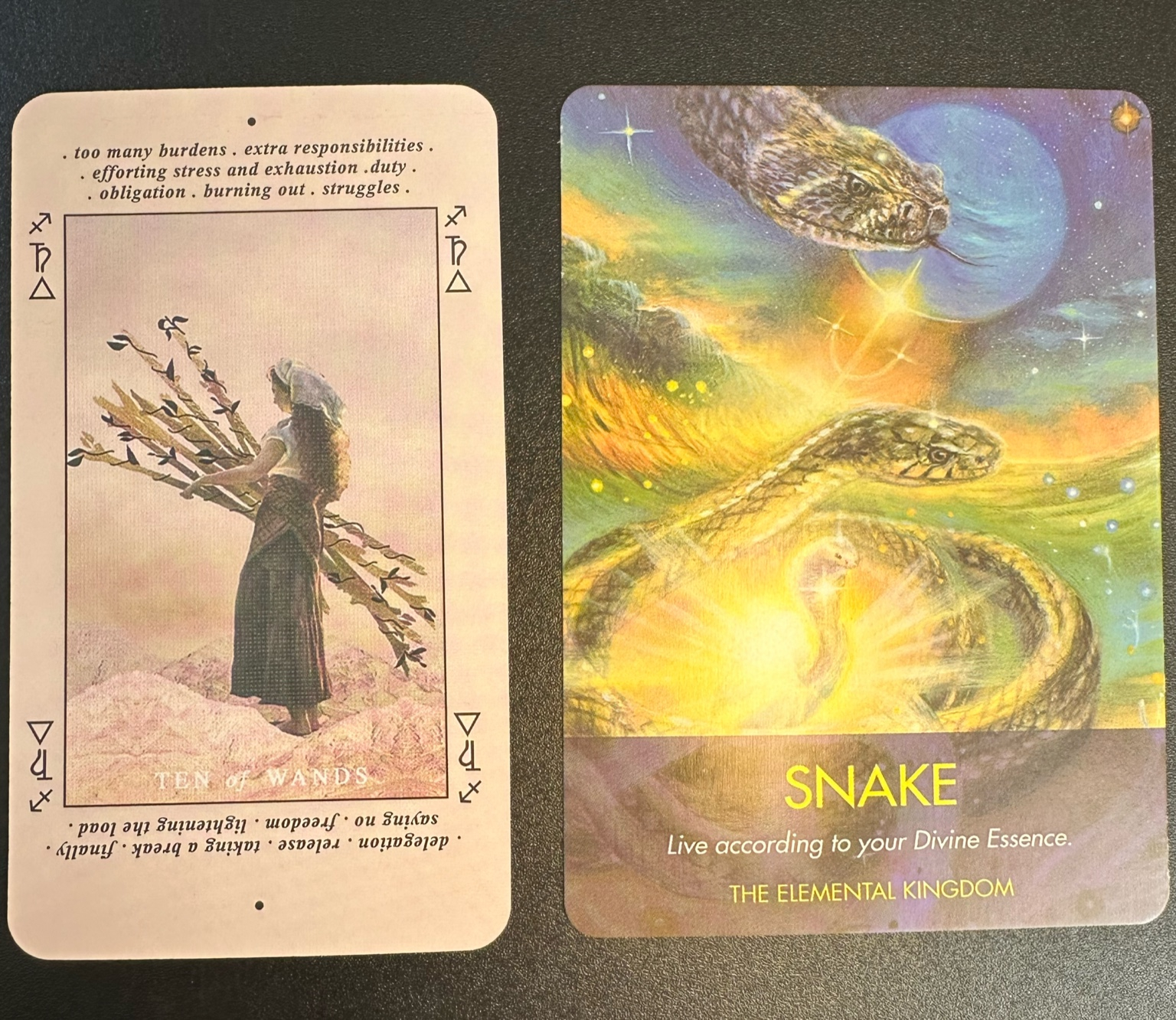 converted_image_2 (1).png