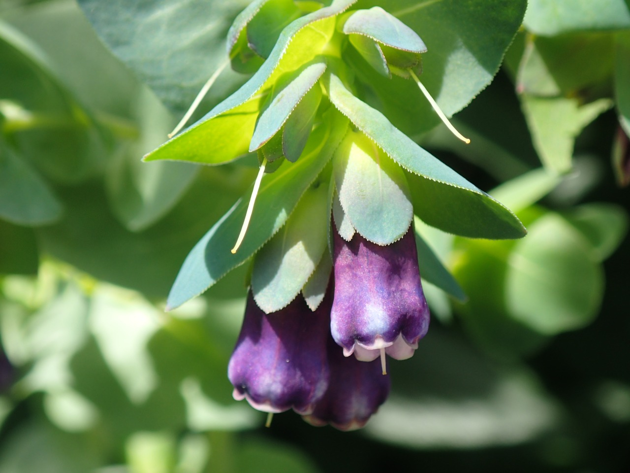 P5030341.JPG