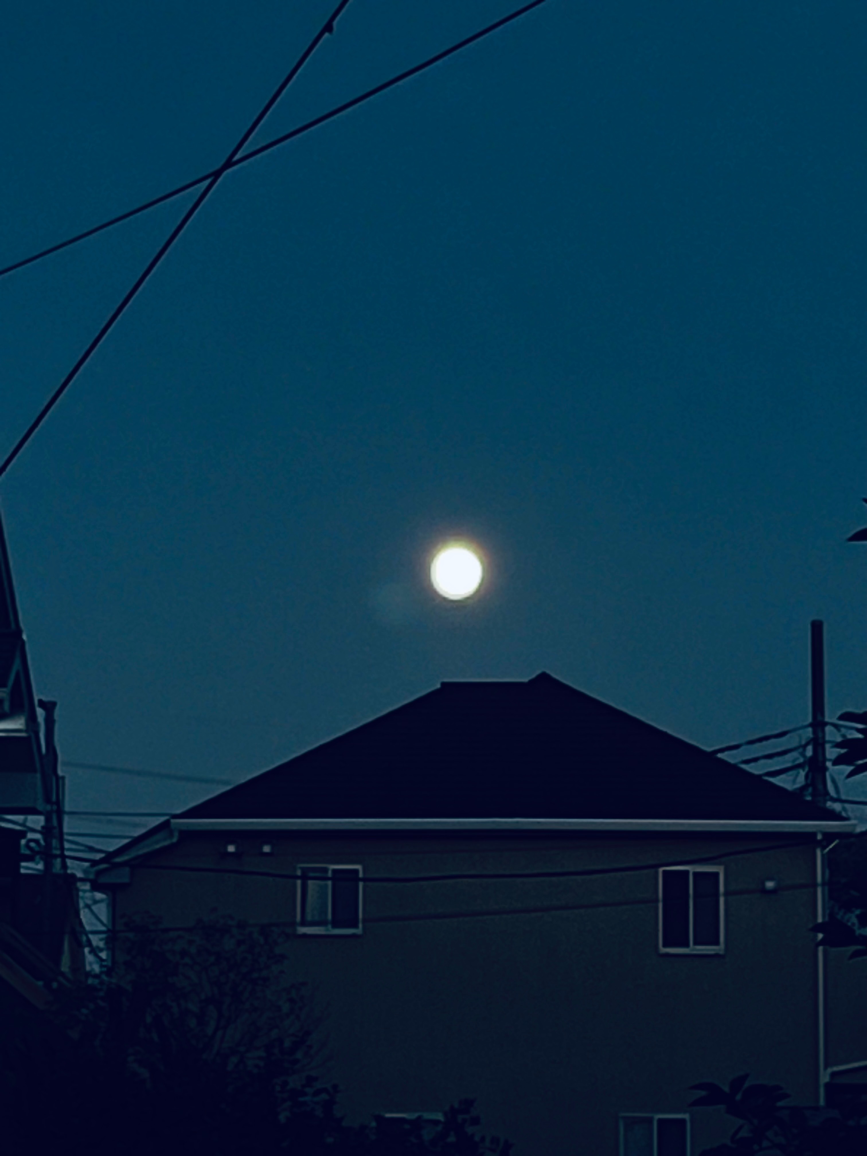 BC4A21CA-B3CC-4765-B54A-394E479C8402.jpg