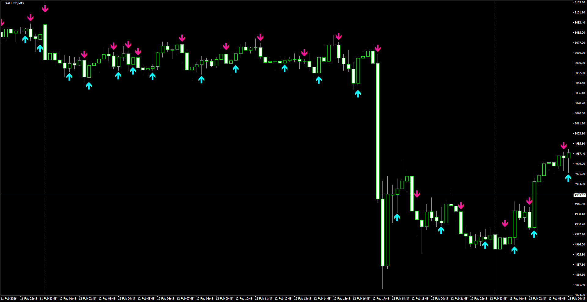 XAUUSD(M15)_2026.02.13_210031.png
