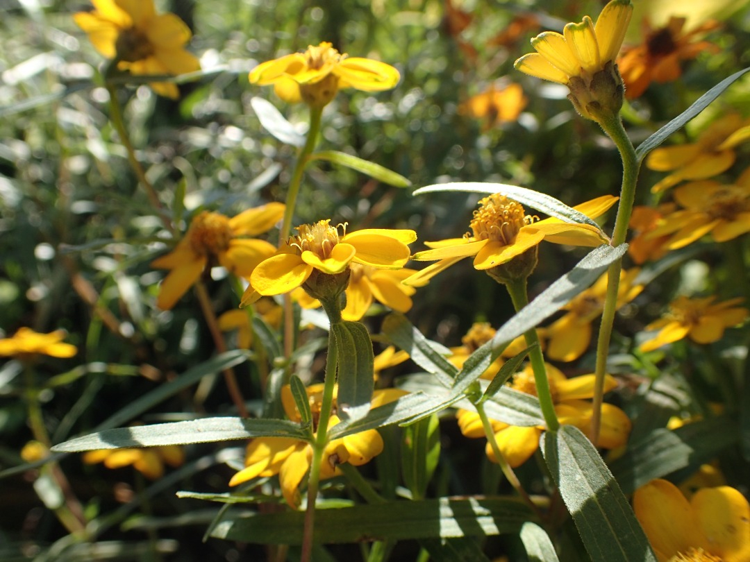 PA100089.JPG