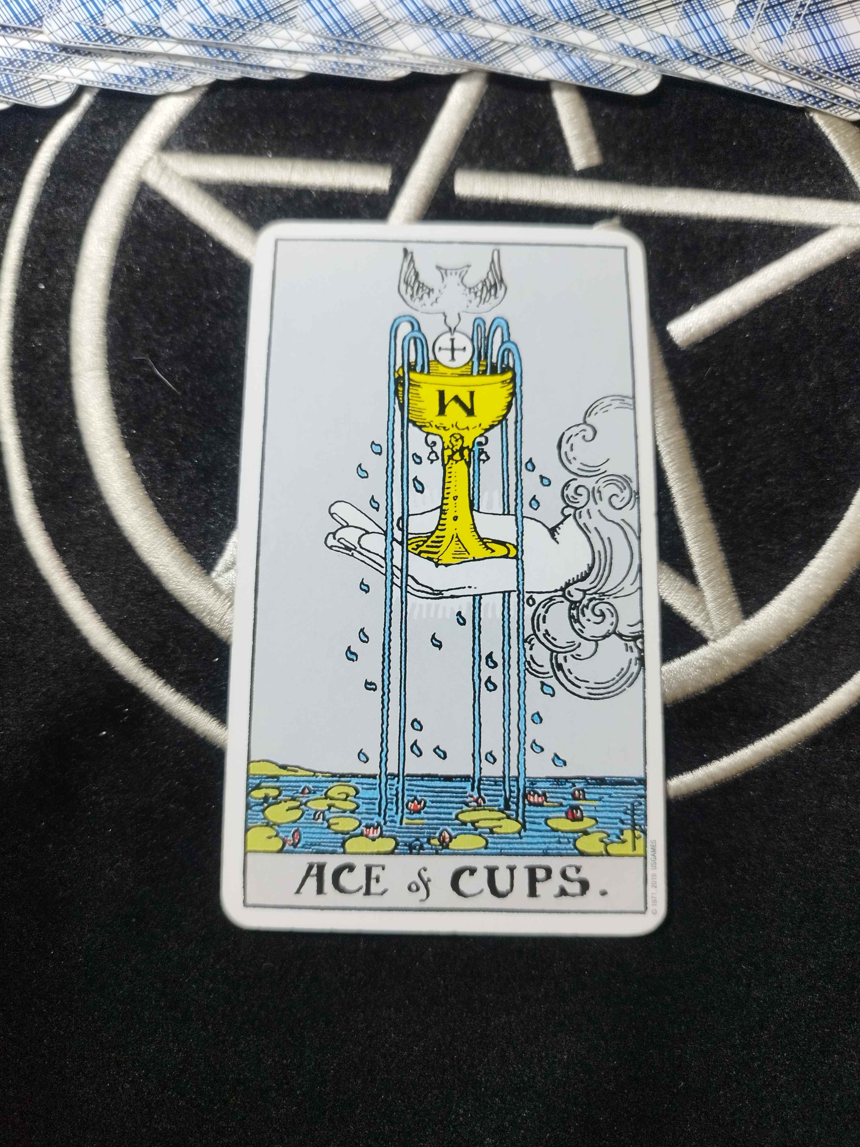 1000031113.jpg